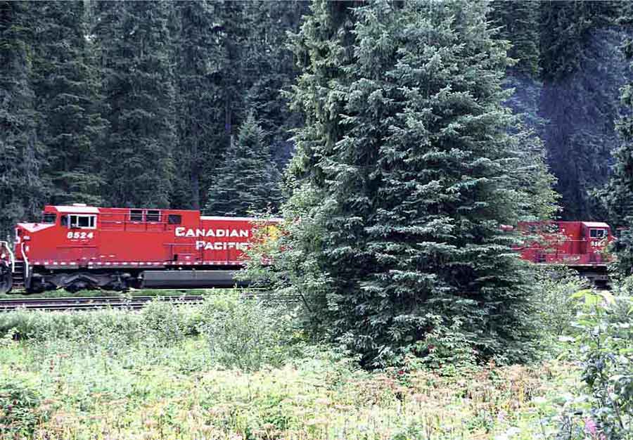 71 - Canada - Rocosas, tren